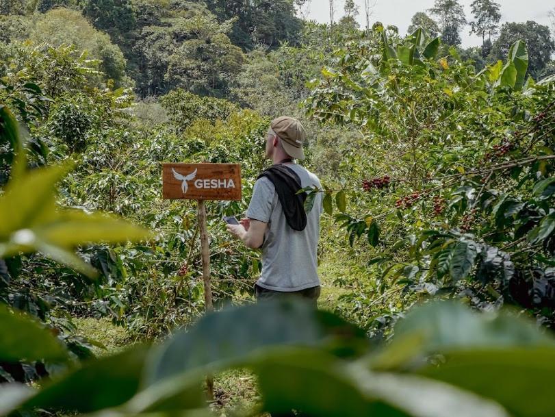 فندق El Fenix Coffee Calarcá المظهر الخارجي الصورة